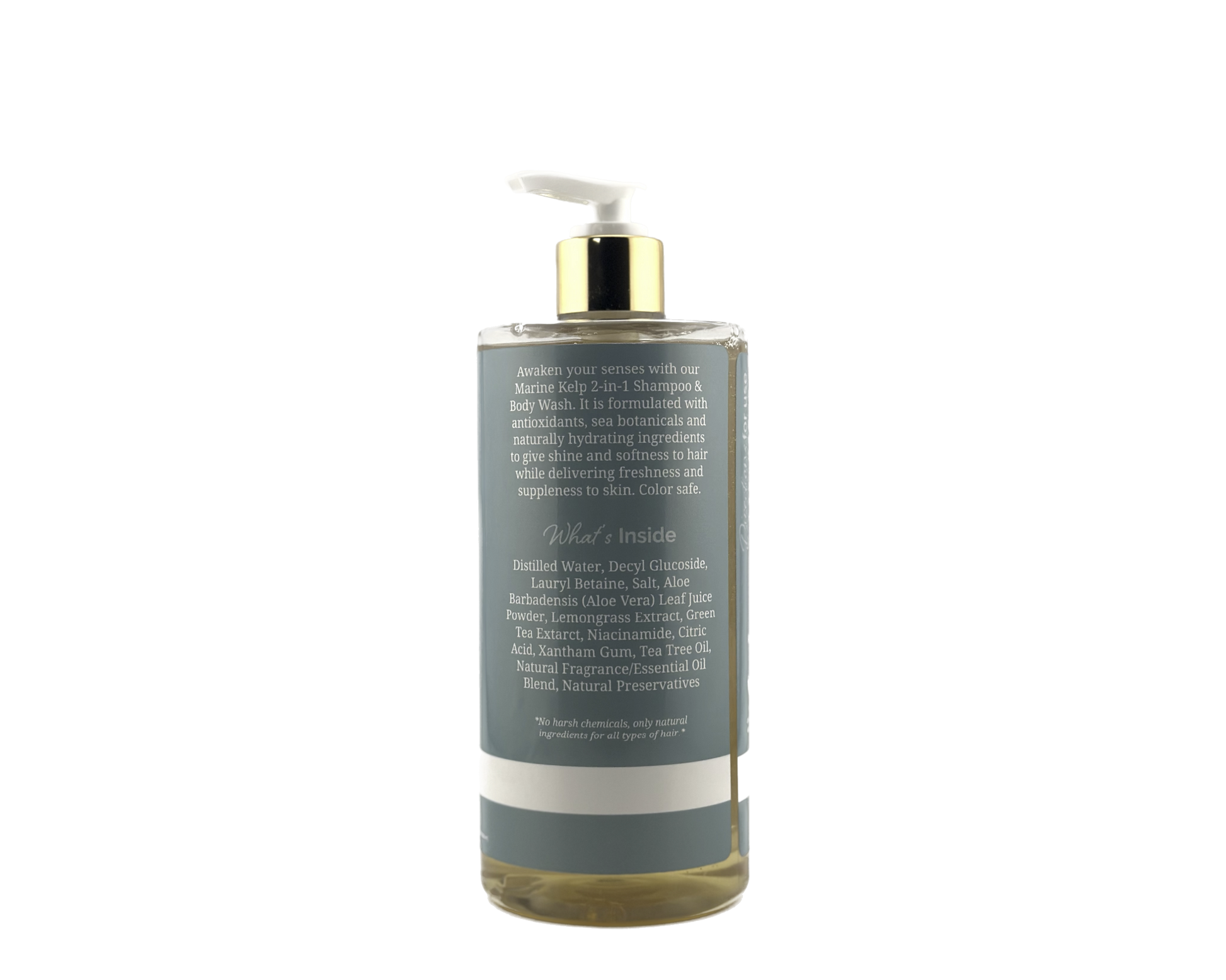 Marine Kelp Shampoo & Body Wash